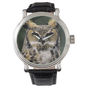 Virginia-Uhu (Bubo virginianus), Ganzkörper Armbanduhr