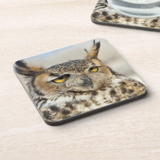 Virginia-Uhu (Bubo virginianus) Getränkeuntersetzer (Linke Seite)