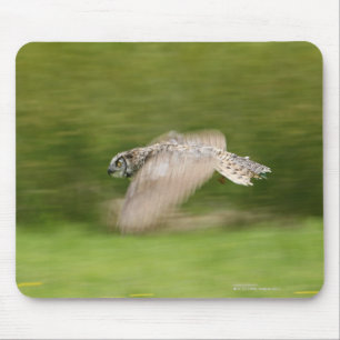 Virginia-Uhu (Bubo virginianus) Mousepad