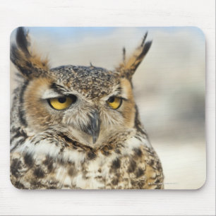 Virginia-Uhu (Bubo virginianus) Mousepad