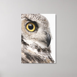 Virginia-Uhu - Bubo Virginianus Subarcticus Leinwanddruck