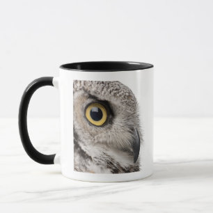 Virginia-Uhu - Bubo Virginianus Subarcticus Tasse