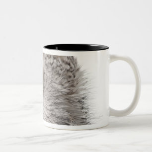 Virginia-Uhu - Bubo Virginianus Subarcticus Zweifarbige Tasse