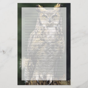 Virginia-Uhu (Bubo virginianus), Vollkörper Briefpapier