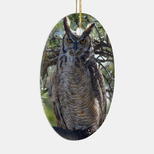 Virginia-Uhu im Baum Keramik Ornament (Rechts)