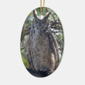 Virginia-Uhu im Baum Keramik Ornament (Links)