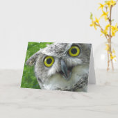 Virginia-Uhu Karte (Gelbe Blume)