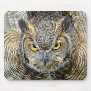 Virginia-Uhu nach Augen Mousepad