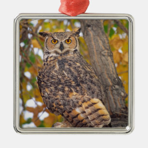 Virginia-Uhu Ornament Aus Metall