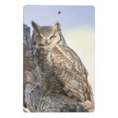 Virginia-Uhu - Sie betrachtend Miniklemmbrett Mini Klemmbrett (Rückseite)