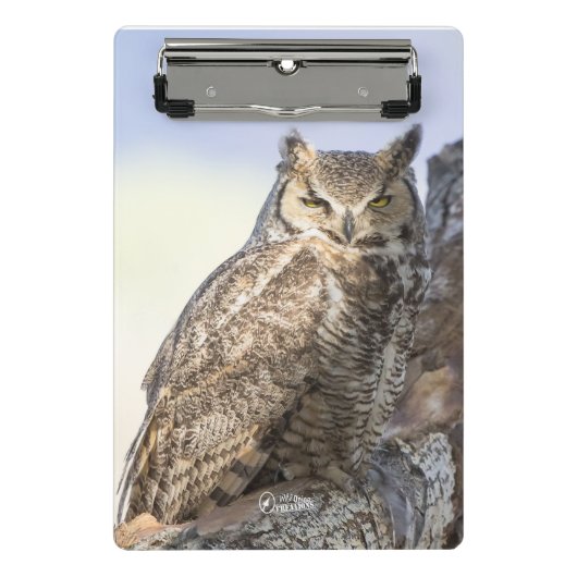 Virginia-Uhu - Sie betrachtend Miniklemmbrett Mini Klemmbrett (Vorderseite)
