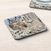 Virginia-Uhu und Owlet Getränkeuntersetzer (Linke Seite)