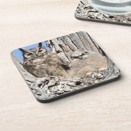 Virginia-Uhu und Owlet Getränkeuntersetzer (Linke Seite)