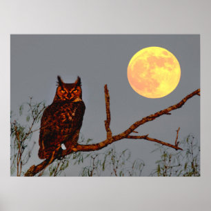 Virginia-Uhu Vollmond Poster