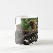 Virginia-Uhus Kaffeetasse (Mittel)