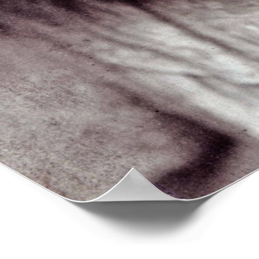 Virginia Woolf, 1902 Poster (Ecke)