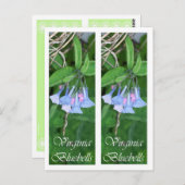 VIRGINIAbluebells-LESEZEICHEN Postkarte (Vorne/Hinten)