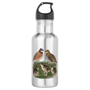 Virginiawachtelfamilie Edelstahlflasche