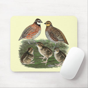 Virginiawachtelfamilie Mousepad
