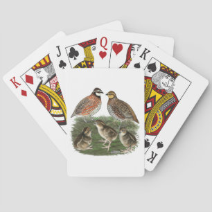 Virginiawachtelfamilie Spielkarten