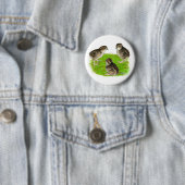 Virginiawachtelküken Button (Beispiel)
