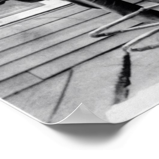 VIRGINIEN-VERBOT BUST 1927 POSTER (Ecke)