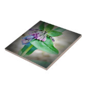 Virginina Bluebells Fliese (Seite)