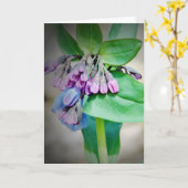 Virginina Bluebells Karte (Gelbe Blume)