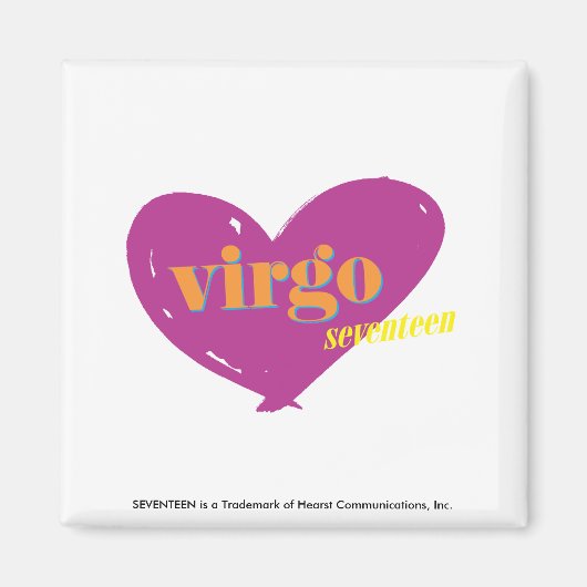 Virgo 2 magnet (Vorne)