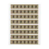 Virgo Constellation Hevelius 1690 Aug 23 Sept 22 (Bogen)