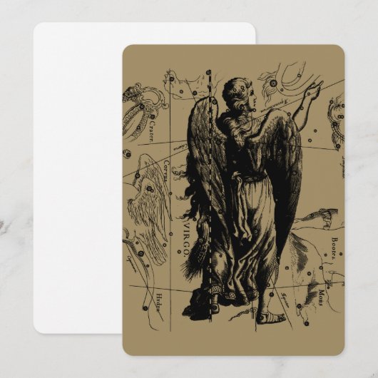 Virgo Constellation Hevelius 1690 Aug 23 Sept 22 (Vorne/Hinten)