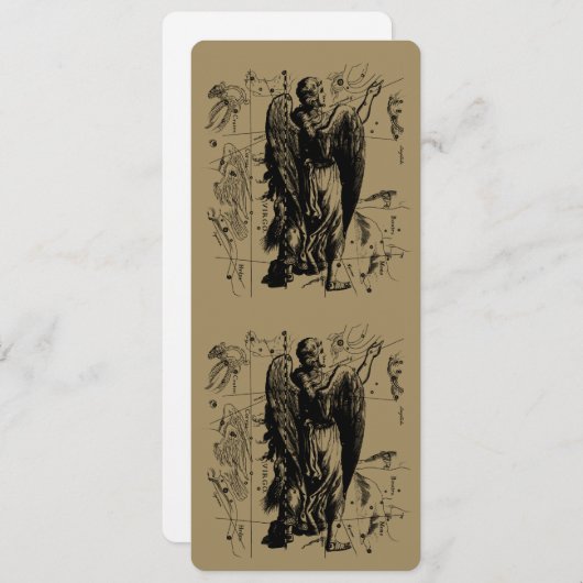 Virgo Constellation Hevelius 1690 Aug 23 Sept 22 (Vorne/Hinten)