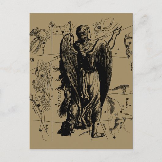 Virgo Constellation Hevelius Etching Style Postkarte (Vorderseite)