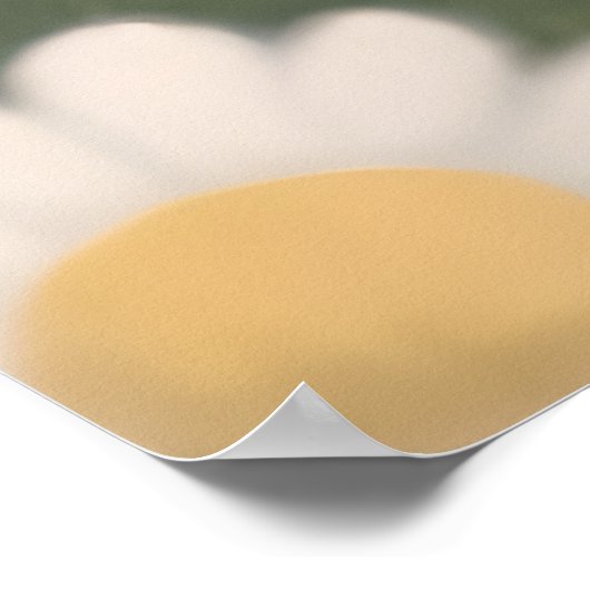 Virgo Horoskop Inspiriert Blumenzodiakdesign Poster (Ecke)