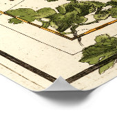 Virgo, Hydra, Krater, Bootes, Leo und Centaurus Poster (Ecke)