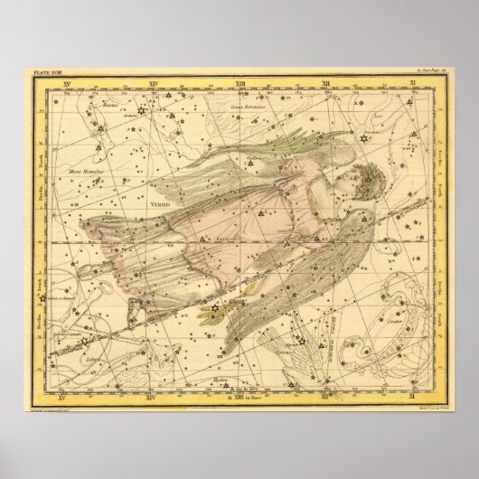 Virgo Poster (Vorne)