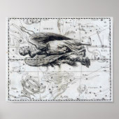 Virgo Poster (Vorne)