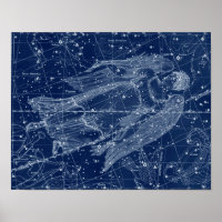 Virgo Zodiac Signierung Vintage Illustration