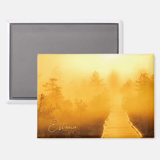 Viru Bog Golden Sunrise Magnet (Vorderseite/Rückseite)