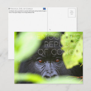 Virunga, Demokratische Republik Kongo Reise Postkarte