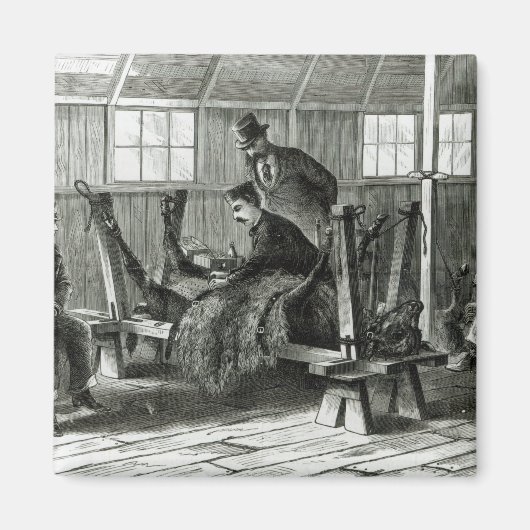 Virusentnahme aus dem Kalb Magnet (Vorne)