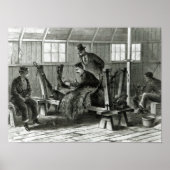 Virusentnahme aus dem Kalb Poster (Vorne)