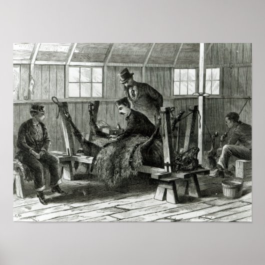 Virusentnahme aus dem Kalb Poster (Vorne)