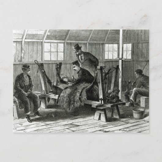 Virusentnahme aus dem Kalb Postkarte (Vorderseite)