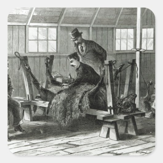 Virusentnahme aus dem Kalb Quadratischer Aufkleber (Vorderseite)