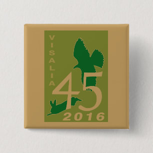 Visalia 2016 button