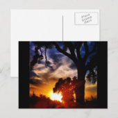 Visalia Sunset Postcard Postkarte (Vorne/Hinten)