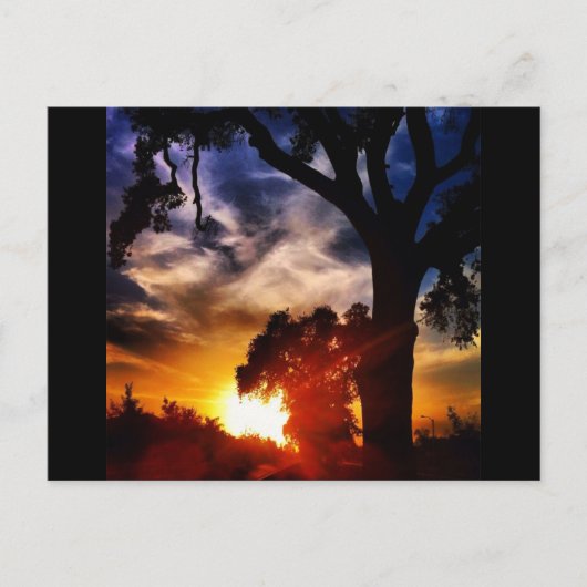 Visalia Sunset Postcard Postkarte (Vorderseite)