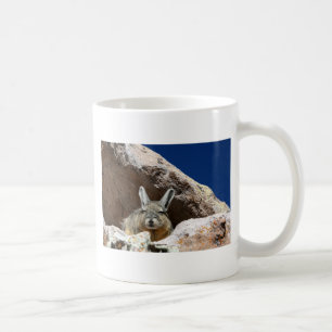 Viscacha Sonnenbäder im Chile der Atacama-Wüste Kaffeetasse