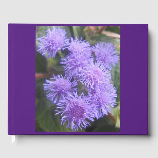 Viscountess Gästebuch (Vorderseite)